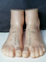 Pieds latex réflexologie objet curiosité 