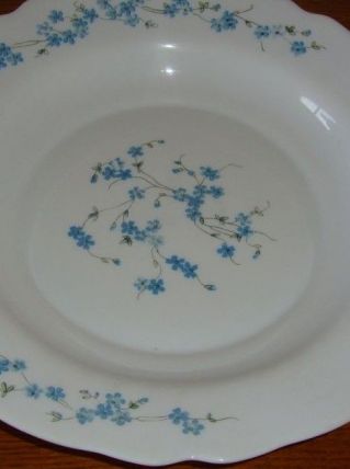 Grand plat creux Arcopal