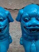 paire de chien de fo chine
