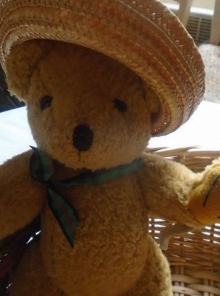 Ourson et son chapeau de paille