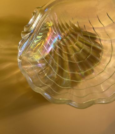 Grand vide poche Coquillage transparent.