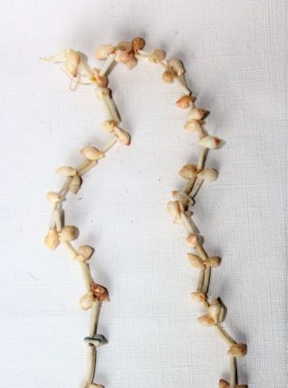 Collier de coquillages cauris. Vintage origine Afrique.