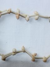 Collier de coquillages cauris. Vintage origine Afrique.