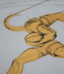 Assiette Salvador Dali Deportes Rugby