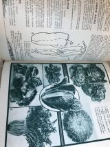 Livre " Guide Clause - Traité des travaux de jardinage "