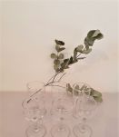 6 petits verres a pieds ballon
