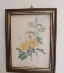 Ancien petit cadre illustration fleur