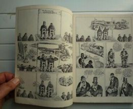 Le canard sauvage