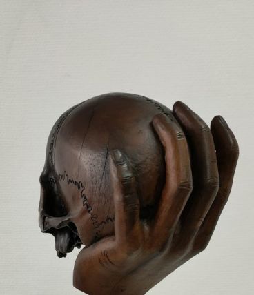  Vanitee scupltée/ crane/ skull