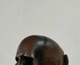  Vanitee scupltée/ crane/ skull