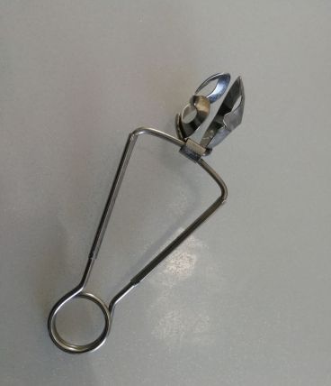 Pince à Sucre 