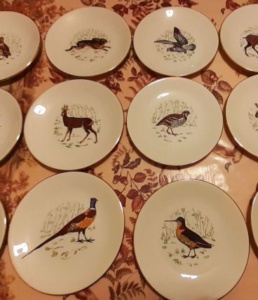 Service assiettes plat et saucière 