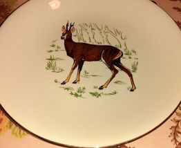 Service assiettes plat et saucière 