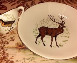 Service assiettes plat et saucière 