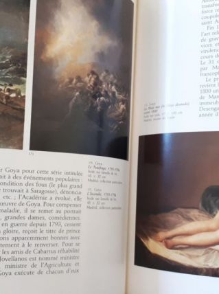 Histoire de l'Art - Tome 9 - Art du XIXe siècle