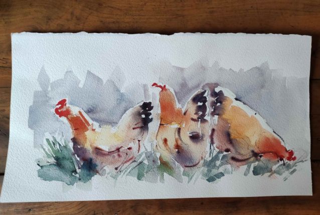 Aquarelle poules