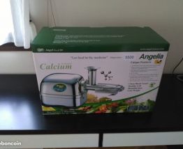 Extracteur de jus angel 5500