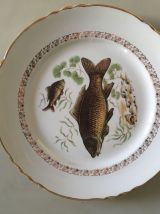 12 assiettes vintage