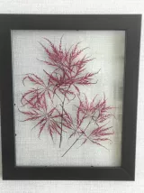 Cadre fleurs séchées 