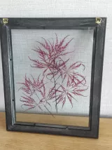 Cadre fleurs séchées 