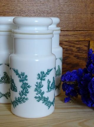 Pots d'apothicaire en opaline