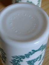 Pots d'apothicaire en opaline