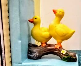 Serre livres canards jaunes