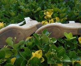 CHAUSSURES ESPADRILLES JACQUELINE RIU T 37 TBE BLANC CASSE  