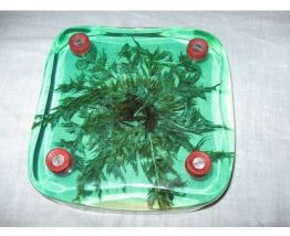 Ancien dessous de plat vintage