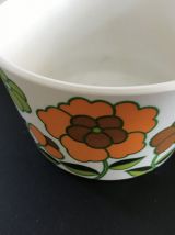 2 bols de camping vintage de la marque Téfal
