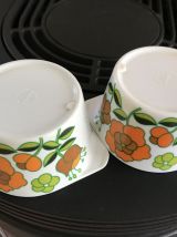 2 bols de camping vintage de la marque Téfal