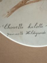 Chouette Hulotte / Tawny Owl