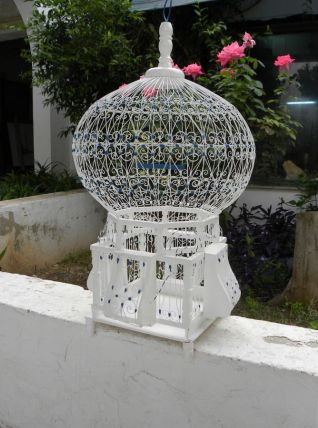 Cage Oiseaux Sidi Bousaid Tunisien Blanc et Bleu