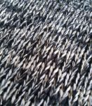 Pull fils dorés 