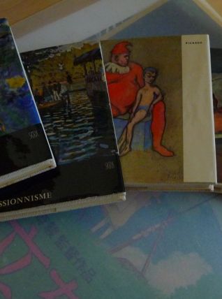 Livre d'art collection SKIRA