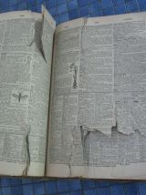 dictionnaire Webster 1929