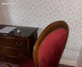 Fauteuil voltaire