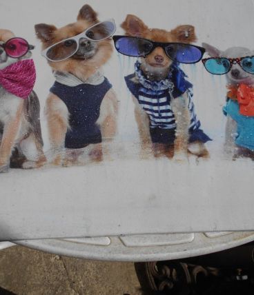 TOILE IMPRIMEE PETITS CHIENS TABLEAU TBE  40 X 40 CM