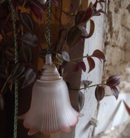 Baladeuse tulipe verre opaque liseret rose câble vert