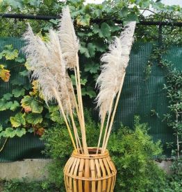 vase porte parapluie osier