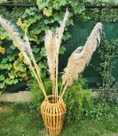 vase porte parapluie osier