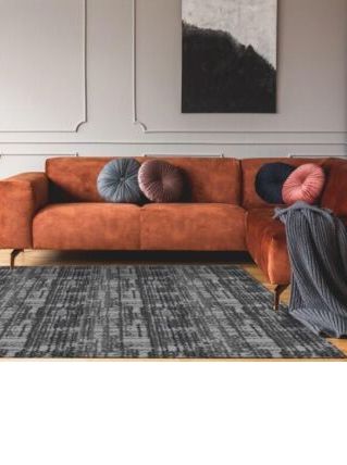 Tapis de maison moderne