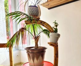 Porte plante vintage en rotin