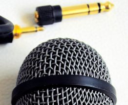Microphone AKG D 50 s