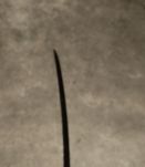 Sabre de Cavalerie, RARE, époque Napoléonienne  