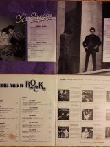 Lot de deux Doubles albums 33t de Rock'n'Roll 60s Français 
