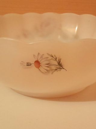 Saladier dentelé Arcopal 