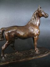 Cheval Pur sang .Fratin.Bronze 19eme