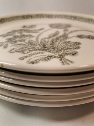6 Assiettes en Céramique décor Floral Botanique Vintage TBE