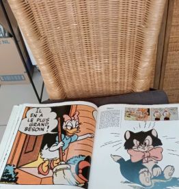 Livre Mickey 